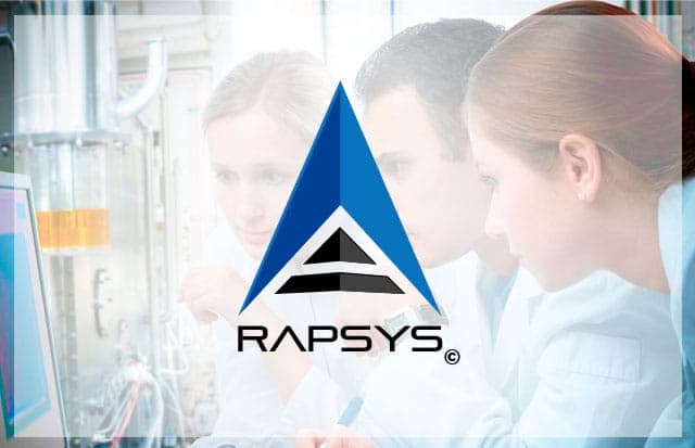 Interfaz de RAPSys©